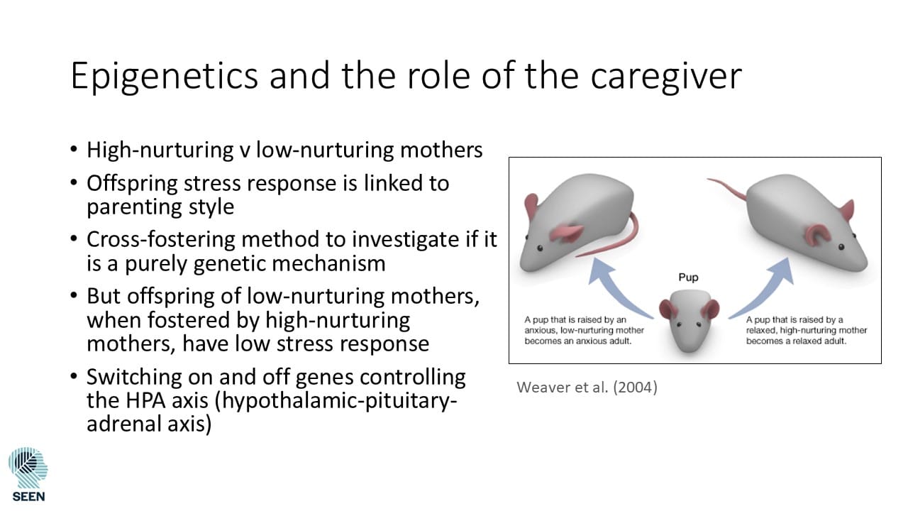 Example slide from Lesson 2 PowerPoint